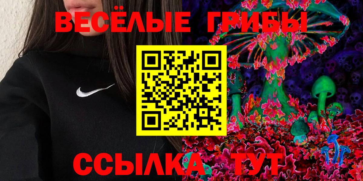 Геленджик  Псилоцибиновые грибы Psilocybine cubensis  Галлюциногенные грибы мицелий  Вход с VPN 
