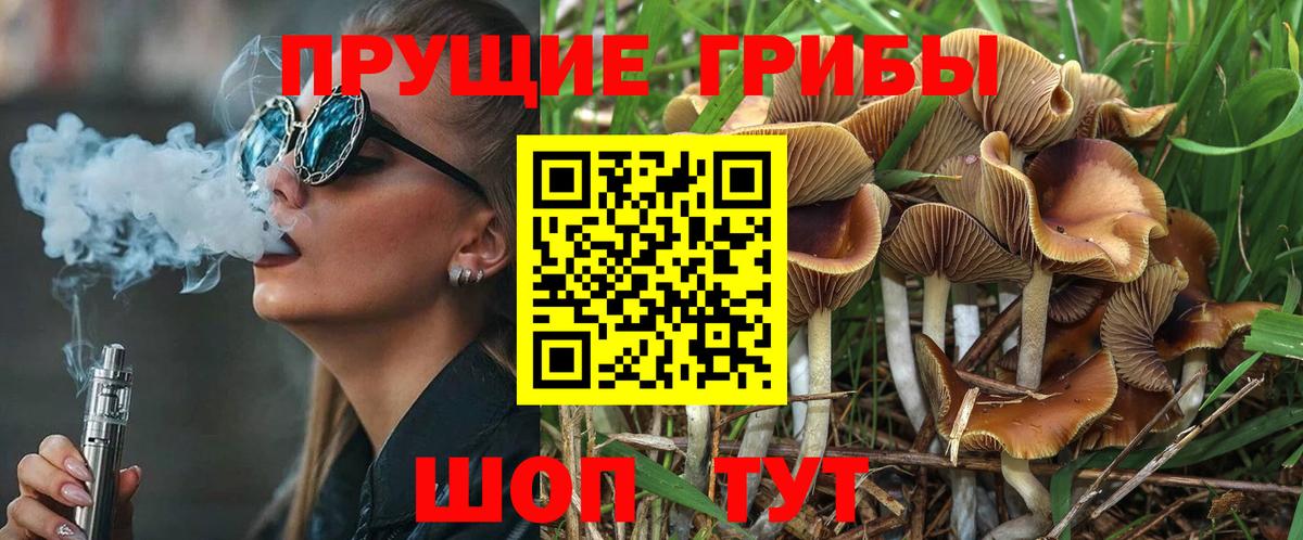 Псилоцибиновые грибы Magic Shrooms Геленджик